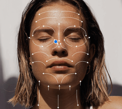 CastorLife  Body and face brush kit